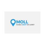 moll 4